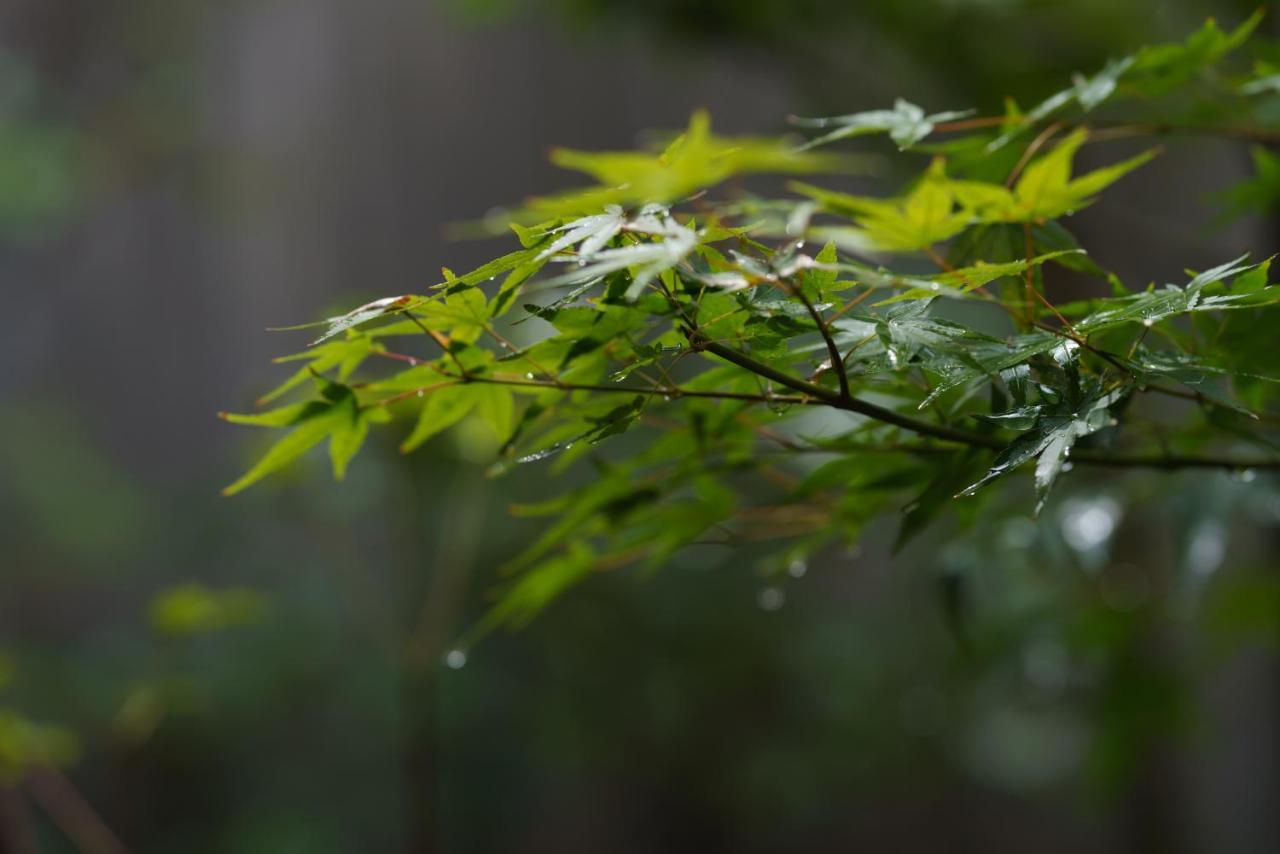 滔々 御崎 町家の宿 Toutou Onzaki Machiya No Yado Kurashiki Zewnętrze zdjęcie